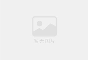 北安个人新能源轿车出售